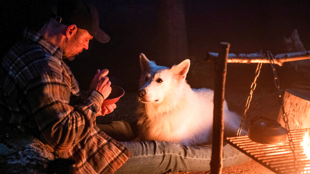 Begleitet von Hund "White" sucht Niels Oxen (Jacob Hauberg Lohmann) Ruhe im Wald.