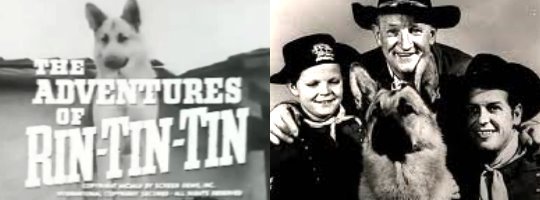 Rin Tin Tin mit seinen kleinen und großen Herrchen: Rusty (Lee Aaker), Sgt. O'Hara (Joe Sawyer) und Lt. Masters (James Brown).